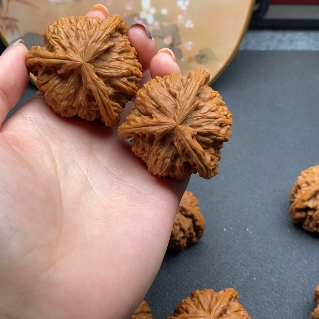 王*丢白狮子11111111111