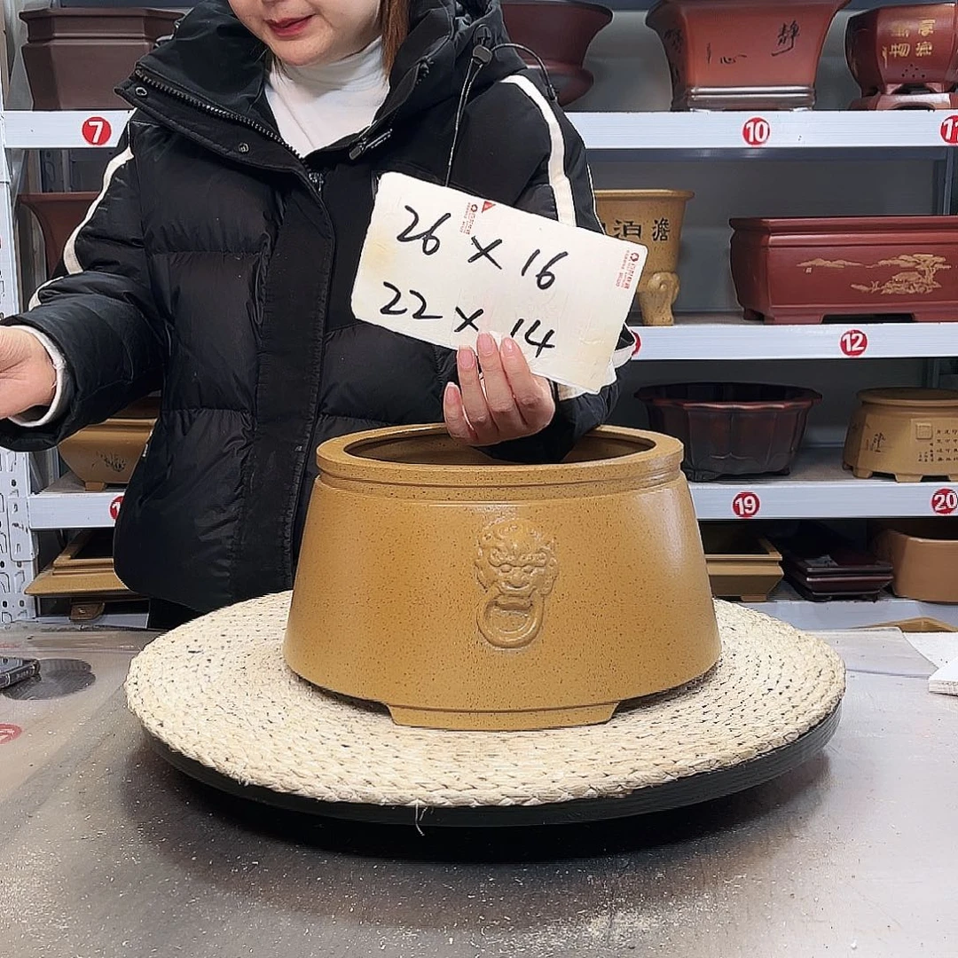 紫砂花盆紫砂花盆里放