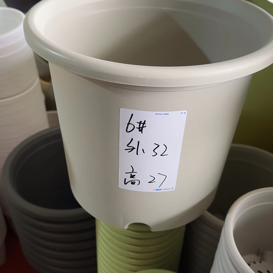 树脂四季6号无托10个灰白