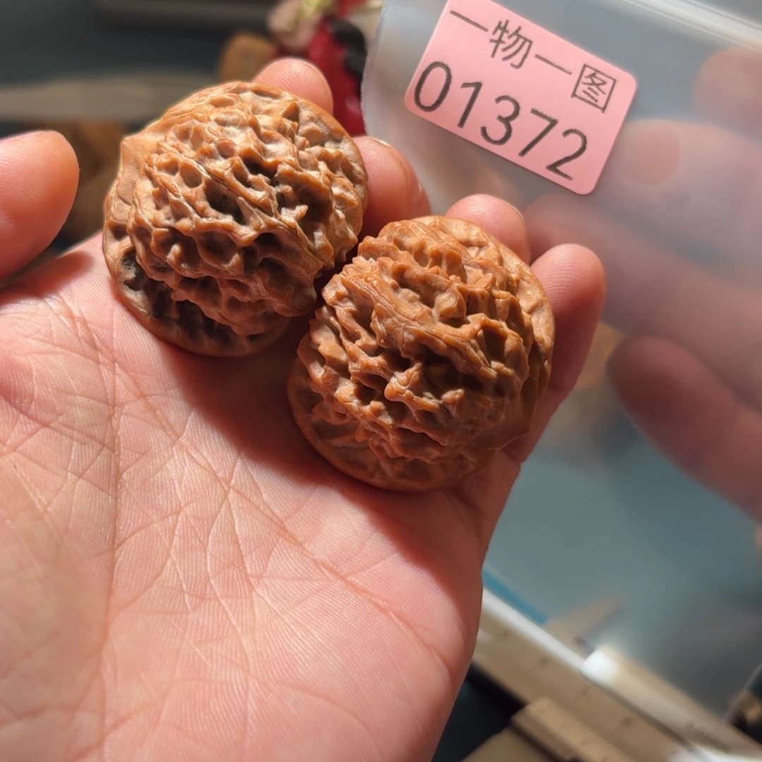 文玩核桃把件红珊瑚