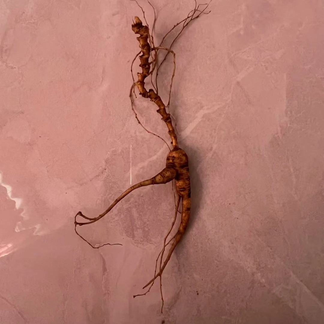 盛昕源高年头林下参人参直播改价链接一物一拍