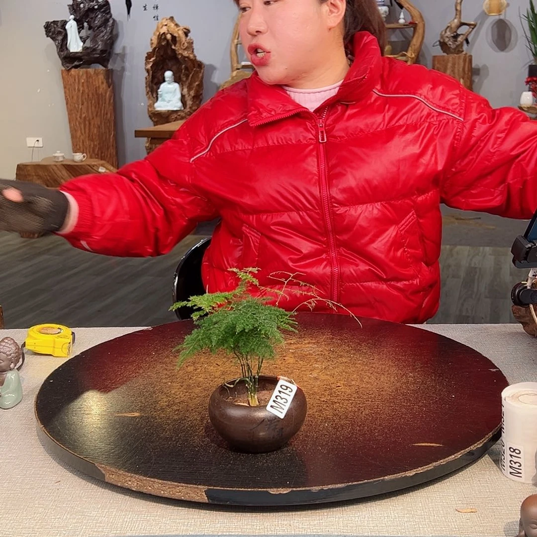 木平*319 hvbhhvhbhjjjjb