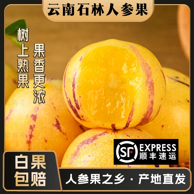 童年【顺丰 树上熟 白果包赔】人参果 云南石林果黄肉圆果 自然成熟