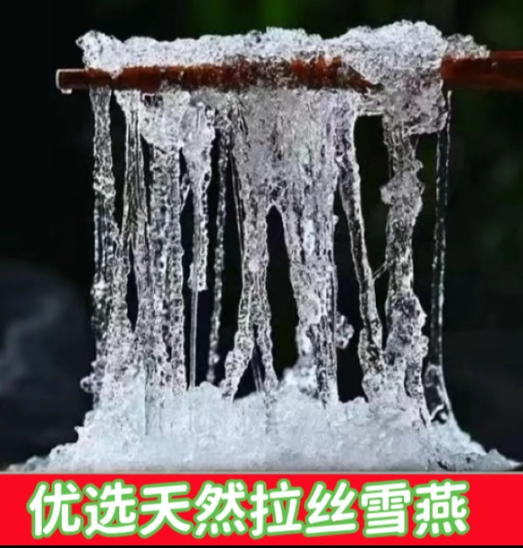 【临时链接】优选拉丝雪燕1500克(三斤)