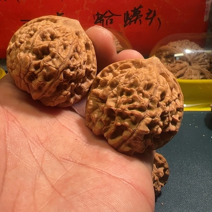 一***星核桃官帽核桃文玩核桃