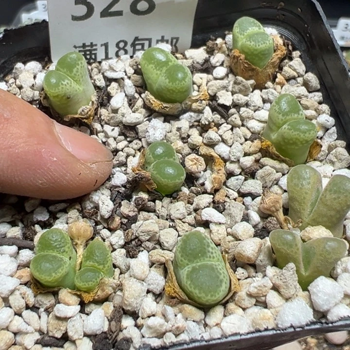 【闪购商品】 328。