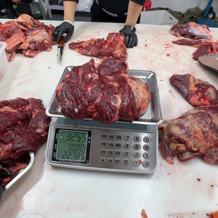 12个月中国大陆马上脑肉35一斤