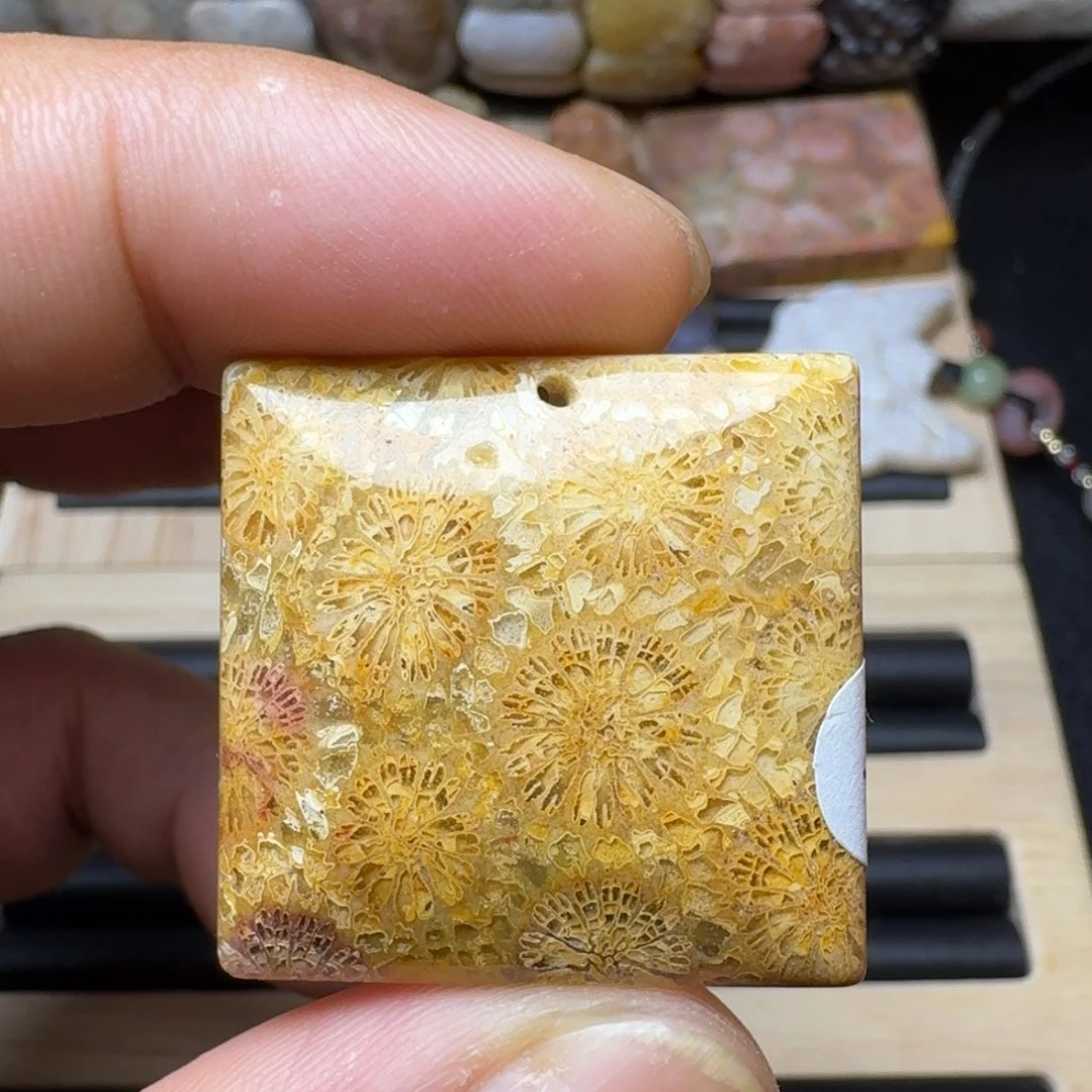 未镶嵌纯天然色有机玉石保真色硅化玉