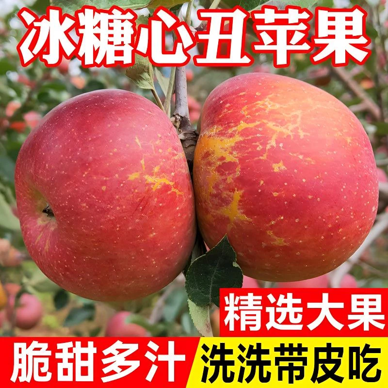 四川大凉山冰糖心丑苹果冰糖心苹果新鲜脆甜当季水果产地直发