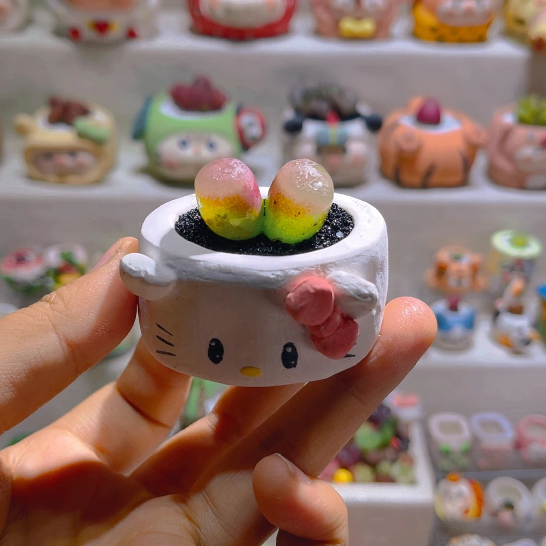 018高端多肉带盆土一套38