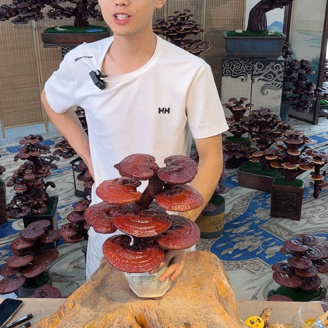 无花朵8888888888888888888888