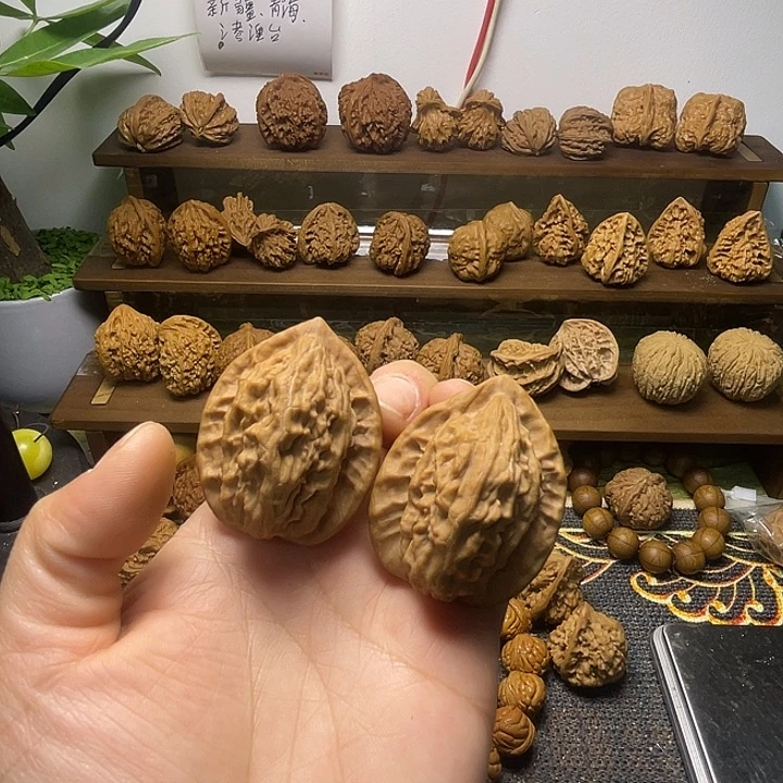 大红袍修尖儿38.39.47