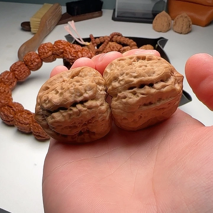 36-38-37高尖蛙蟾型好开背C13号