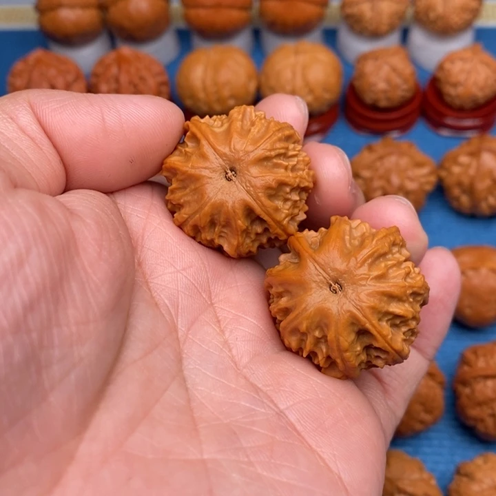 文玩核桃把件蚂蚁粗筋