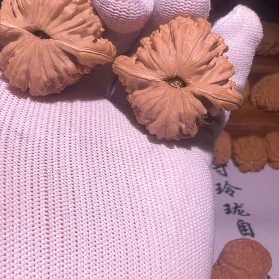 核桃四座楼原桩全品40尺