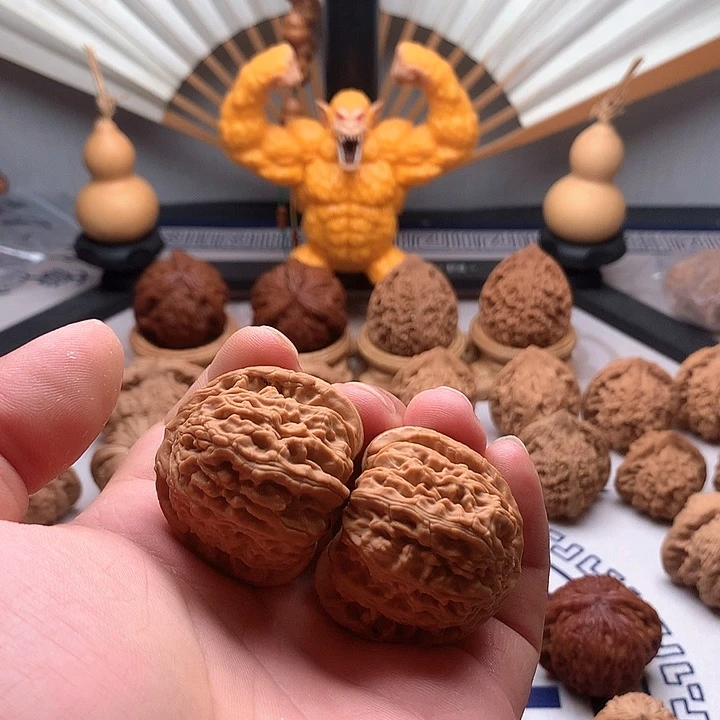 S****o山地果白狮子尺寸40