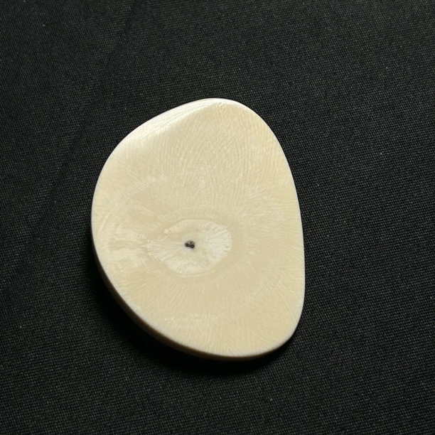 H21962 马蹄形牙标 只做天然猛犸牙