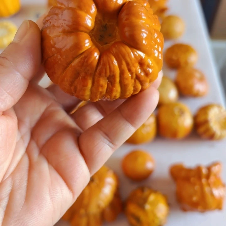 炽*墨西哥七彩葫芦