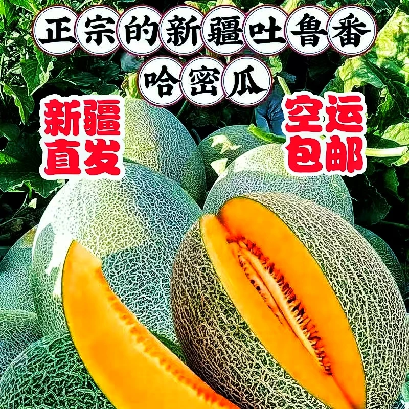 【EMS 空运包邮】 吐鲁番哈密瓜西州蜜25号