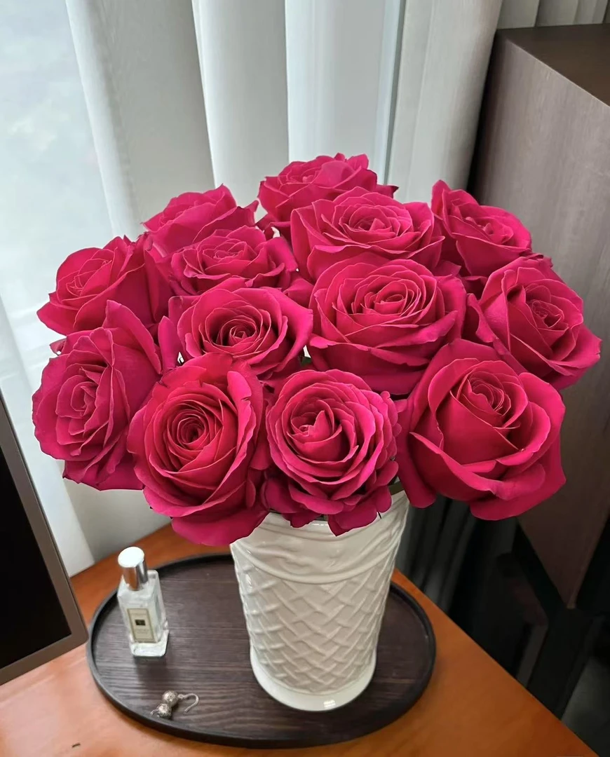 鲜花【葡噗花舍】弗洛伊德玫瑰 10支  云南基地直发