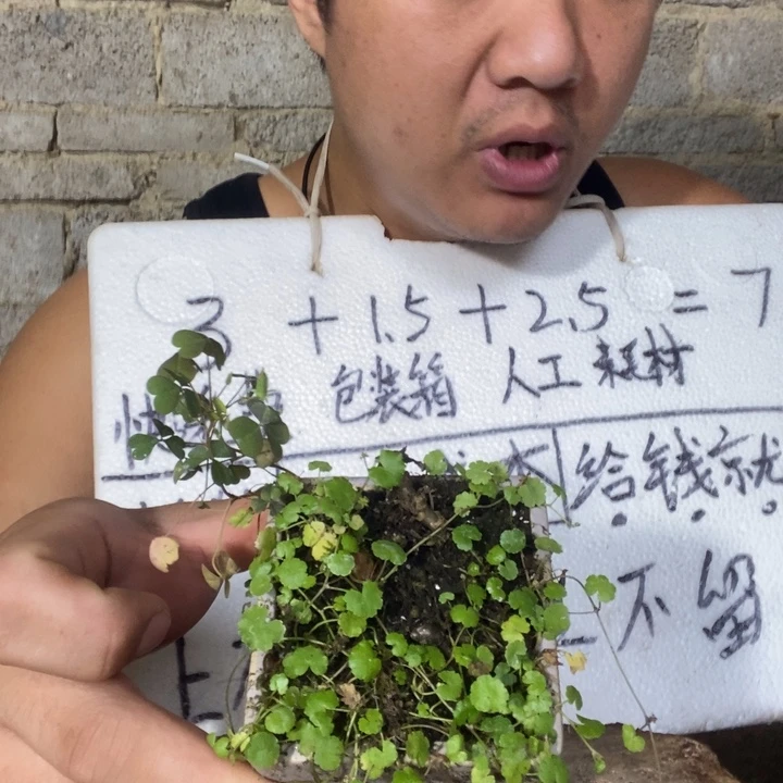 退款拉黑一物一拍379