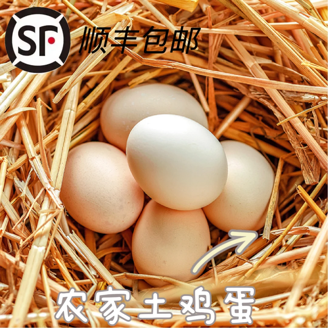 石坎村一家一户收购农家土鸡蛋土鸭蛋顺丰包邮百家蛋