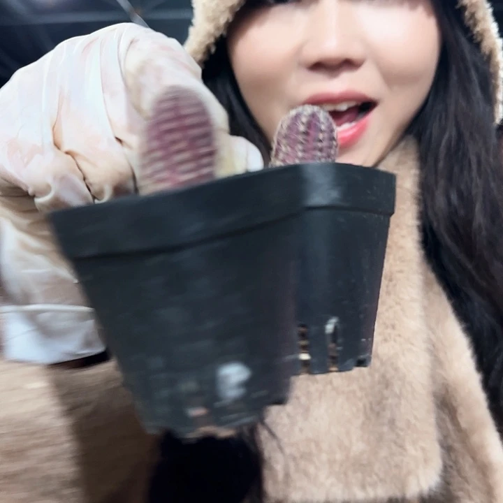 中间丽花两颗11111