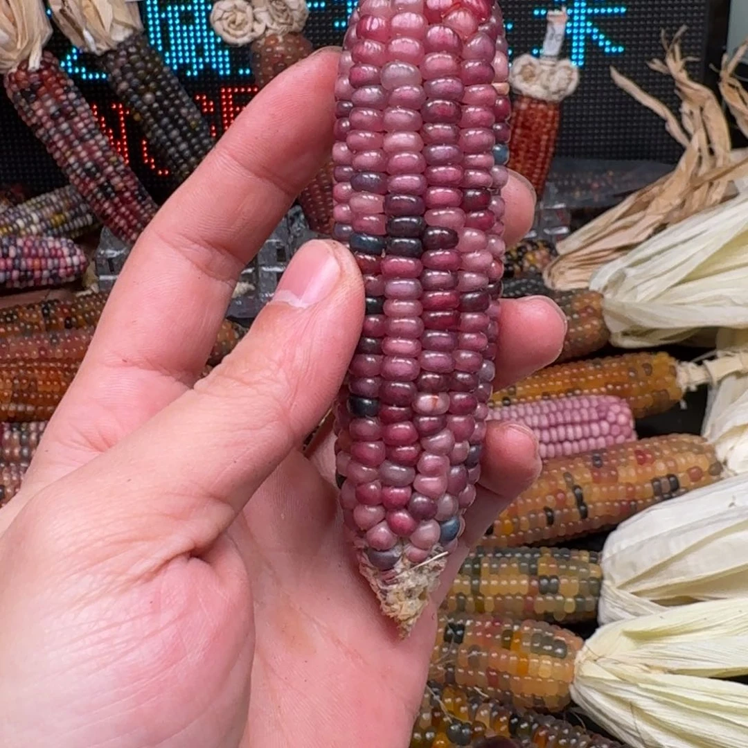 柏香籽/百香籽吊坠万*。