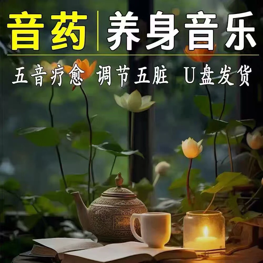 五音养生音乐静心舒缓疗愈疗养轻音乐车载优盘无损高音质