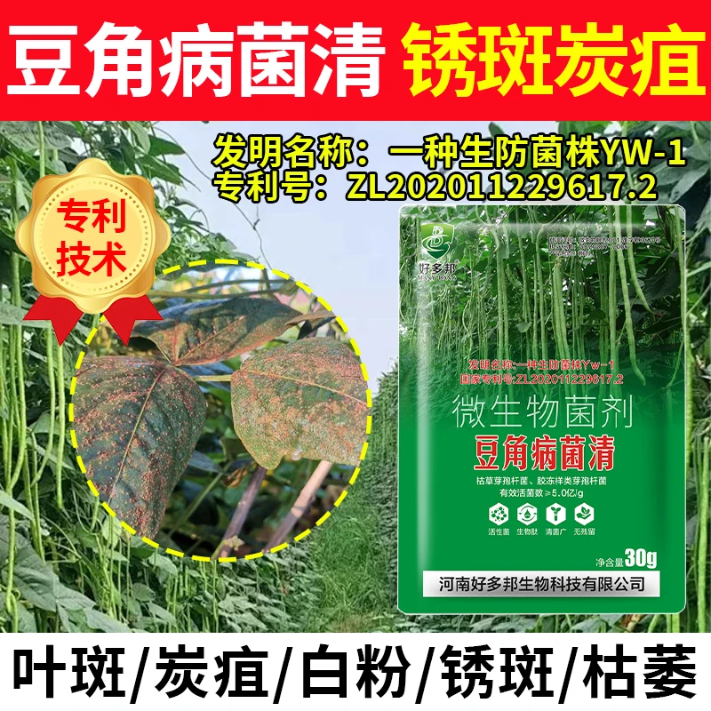 豆角病菌清国家专利配方豆角锈斑炭疽青枯白粉正品直销微生物菌剂
