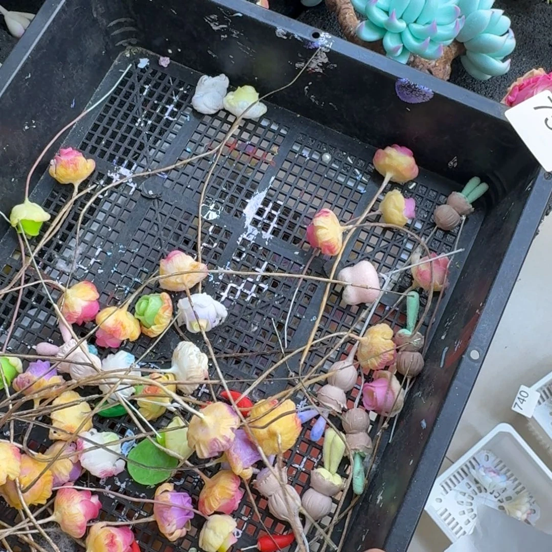 树脂750号哦哦哦哦哦哦哦
