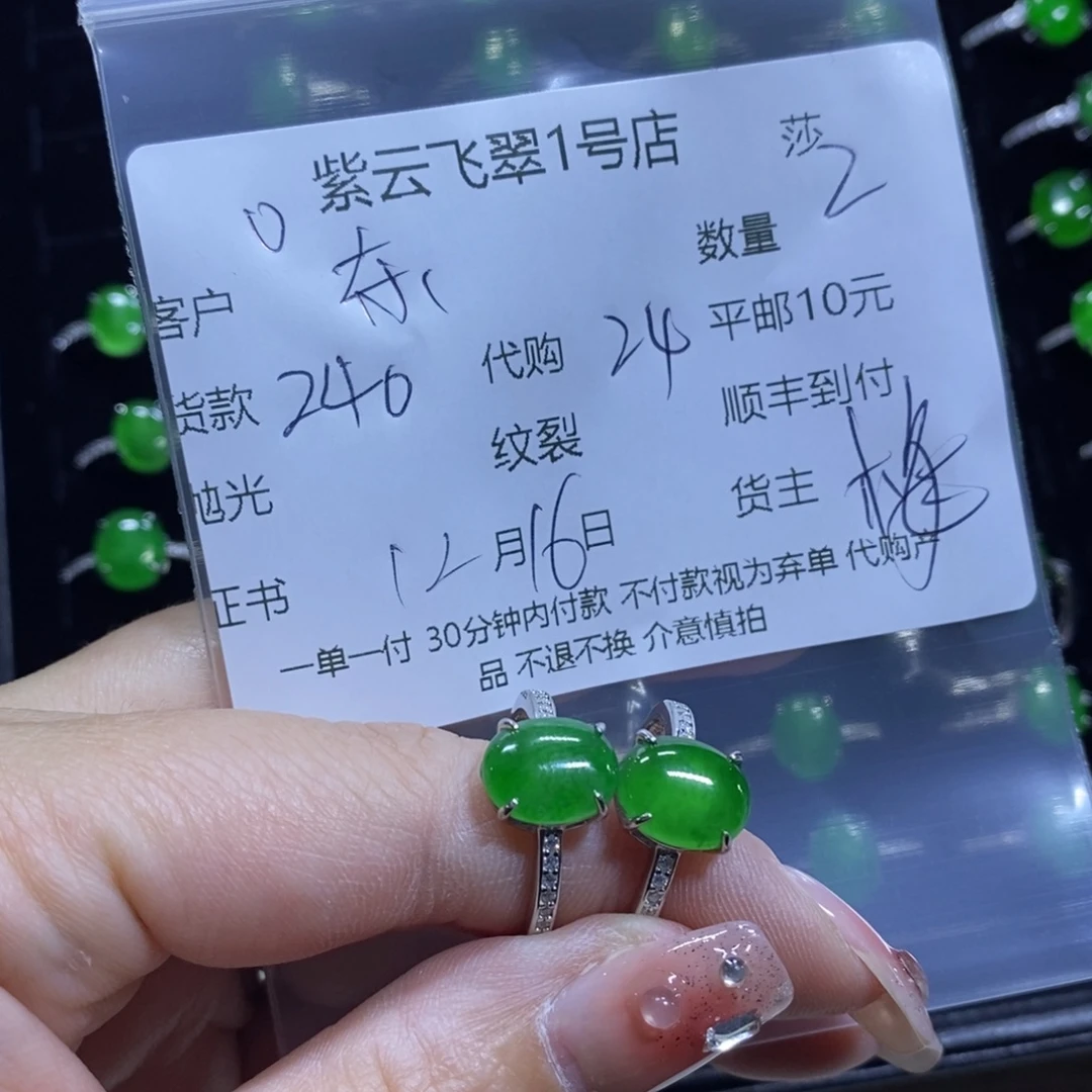 东***皮翡翠银S925镶嵌颈饰翡翠