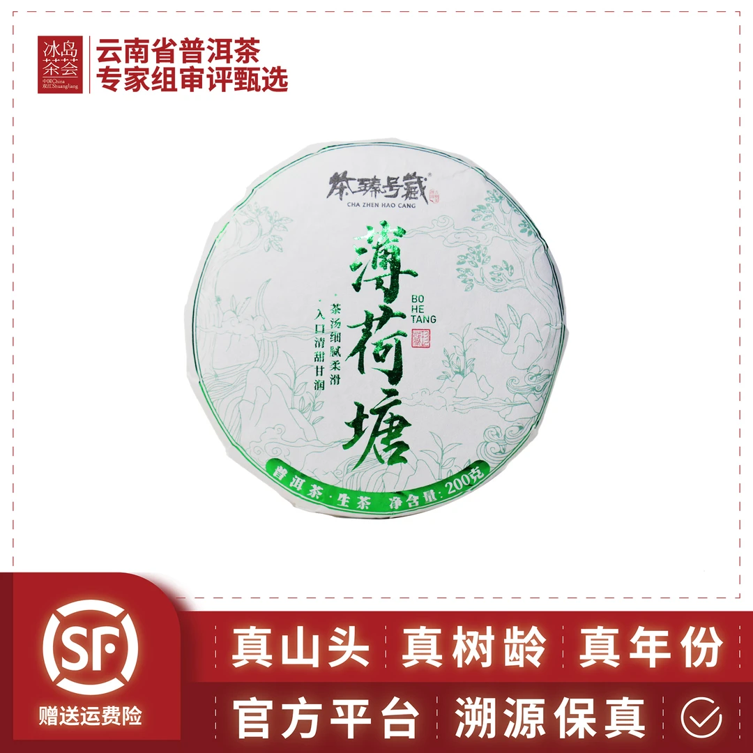 阳溢-2025年-薄荷塘古树（柔和甜润，森林韵感显著）-200克饼-生茶