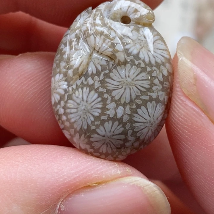 颈饰未镶嵌硅化珊瑚（珊瑚玉）小