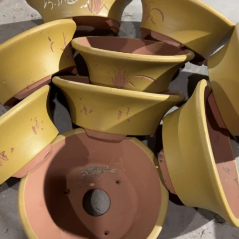 100-9。。 微瑕23.5-8.5