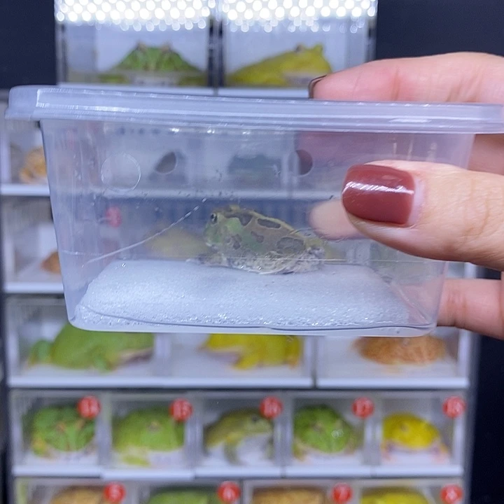 特价秒杀现货供应瑕疵