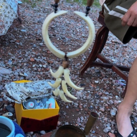 杂色豆（科檀/科特迪瓦檀木）禅*