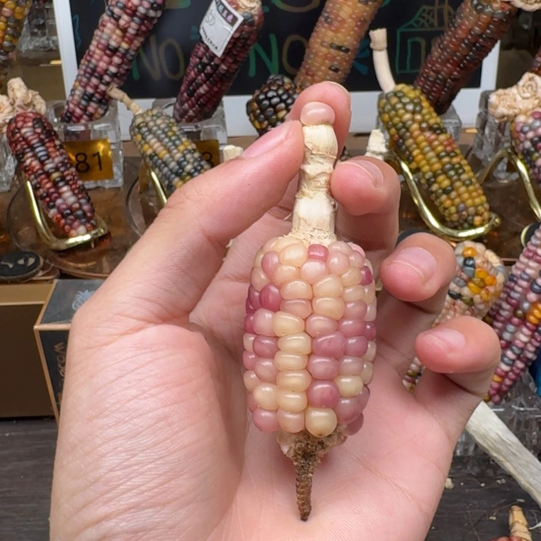 柏香籽/百香籽吊坠?*合