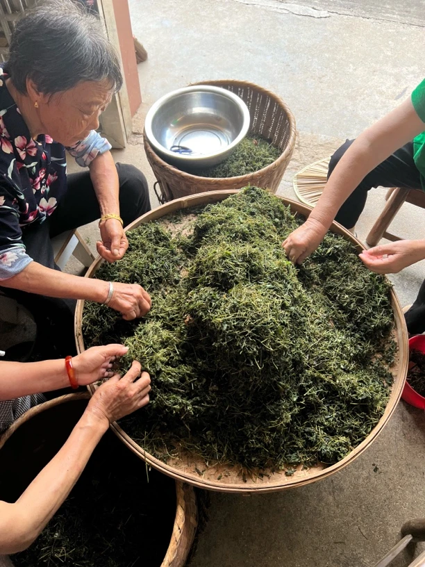 湖南皮皮走乡村农产品-【野生七叶绞股蓝】