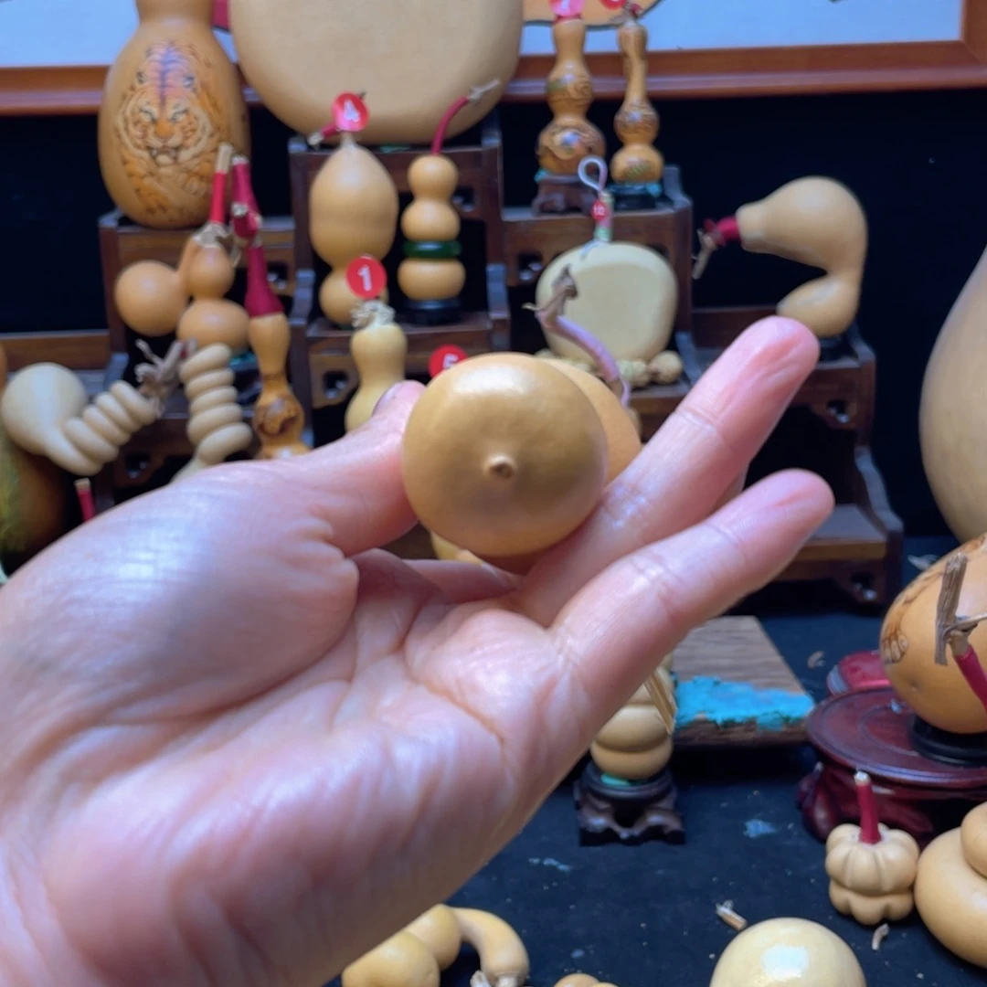 ?**?大自然的秘密第十节第