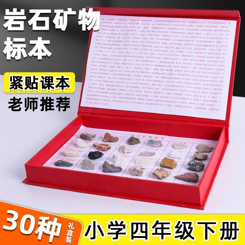 小学科学四年级下册地理科普石头岩石化石活动式观察实验学生学具