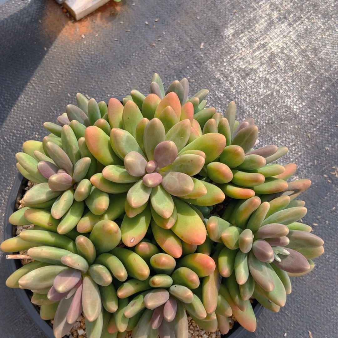 10131111111111111111111