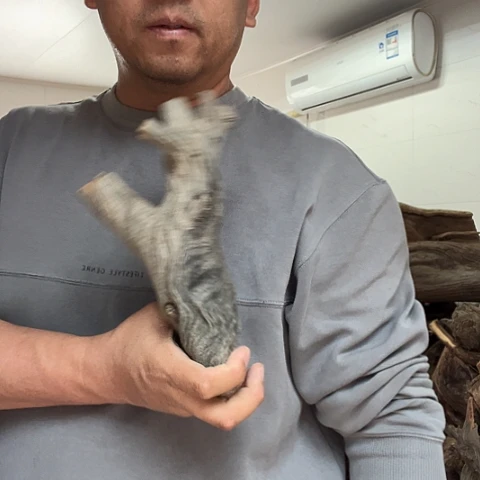 萌***哒柏木崖柏毛料的加工