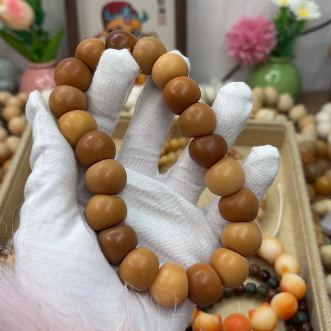 吊坠菩提根/象牙果18干磨瑕疵落地果肠386