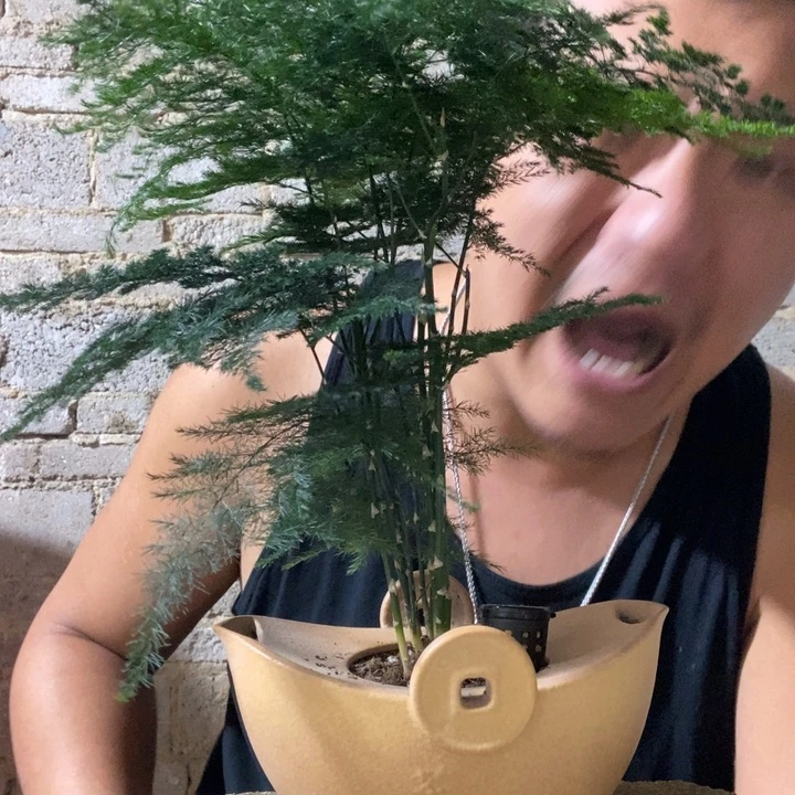 完全开放退款拉黑一物一拍220