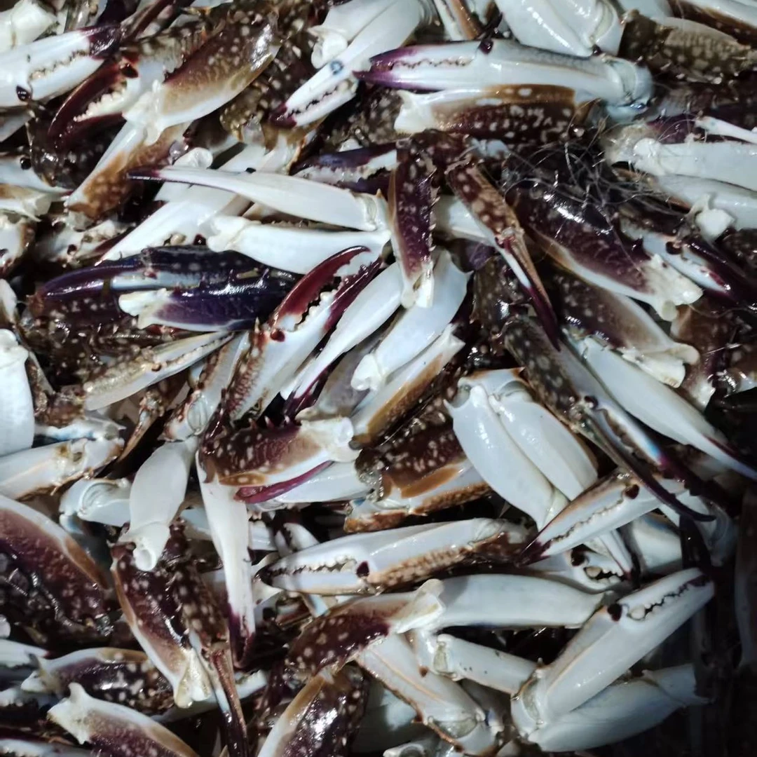 【特惠】冰鲜蟹爪，加冰发出