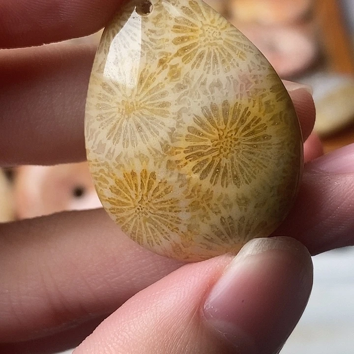 开***夜硅化玉未镶嵌颈饰