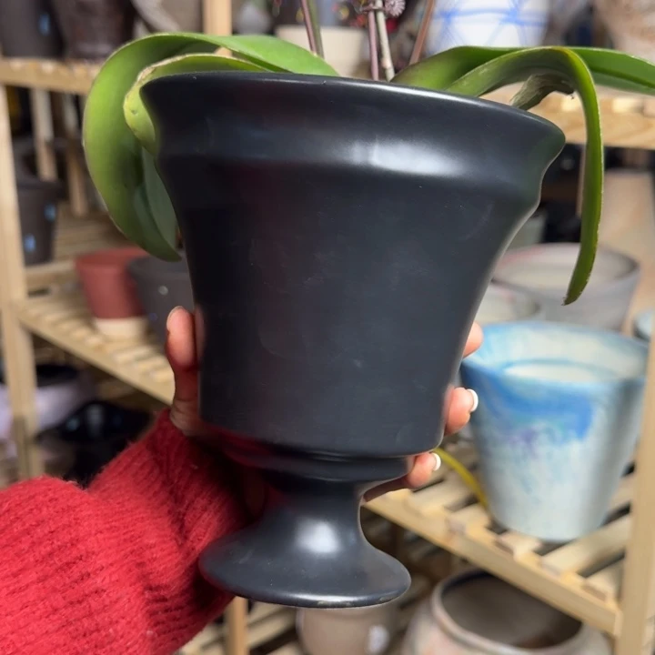亚黑酒杯花盆桌面款