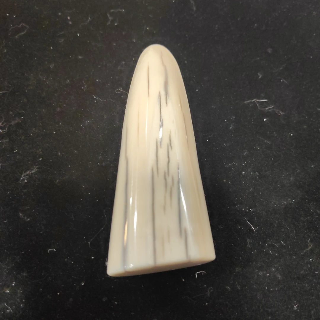 猛犸猛犸虬饼子WT558