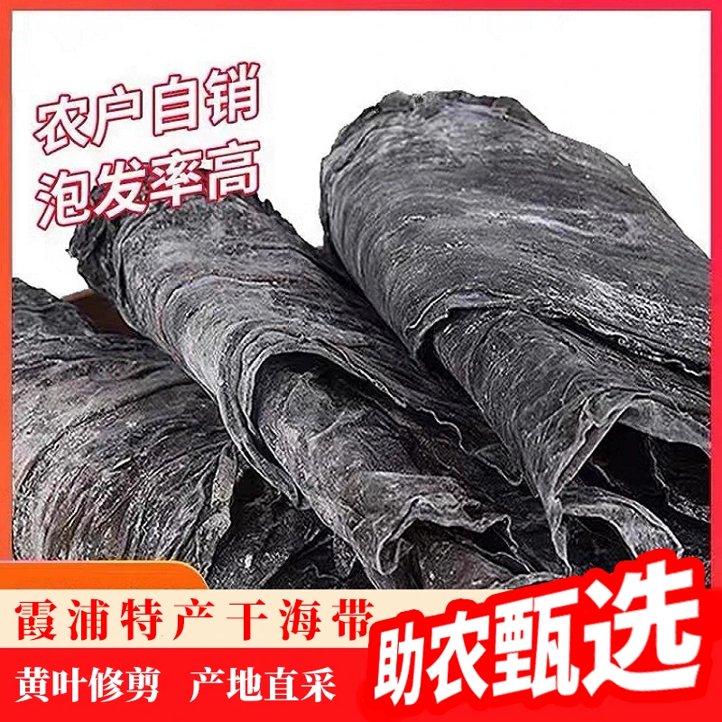 9，9到手2斤福建霞浦日晒干海带煲汤海产品干货